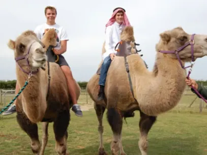 Oasis Camel Park