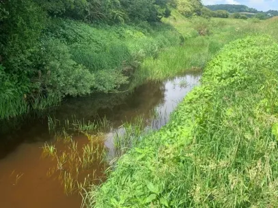 Scalby Beck