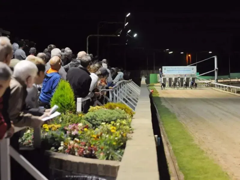 Doncaster Greyhound Racing