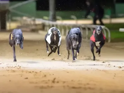 Doncaster Greyhound Racing