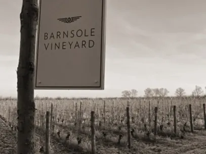 Barnsole Vineyard