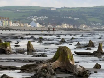 Family-friendly audio walking tours in Borth, West Wales