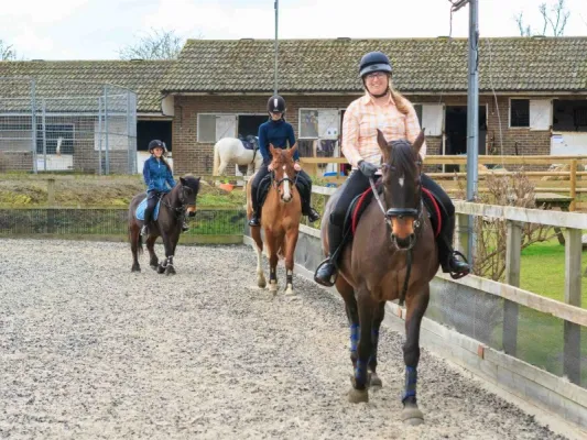 Outdoor Horse Riding in the South East near me | VisitRevisit