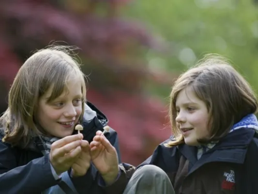 Fungi Festival: Family Garden Trail